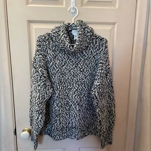 BNWOT Turtle Neck Sweater